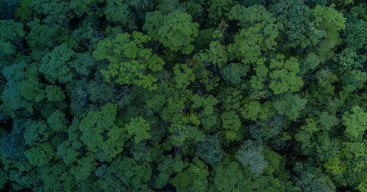 Regencia Ambiental
