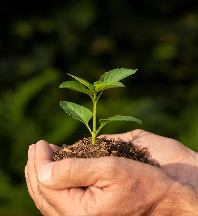 SETENA & Viabilidad Ambiental