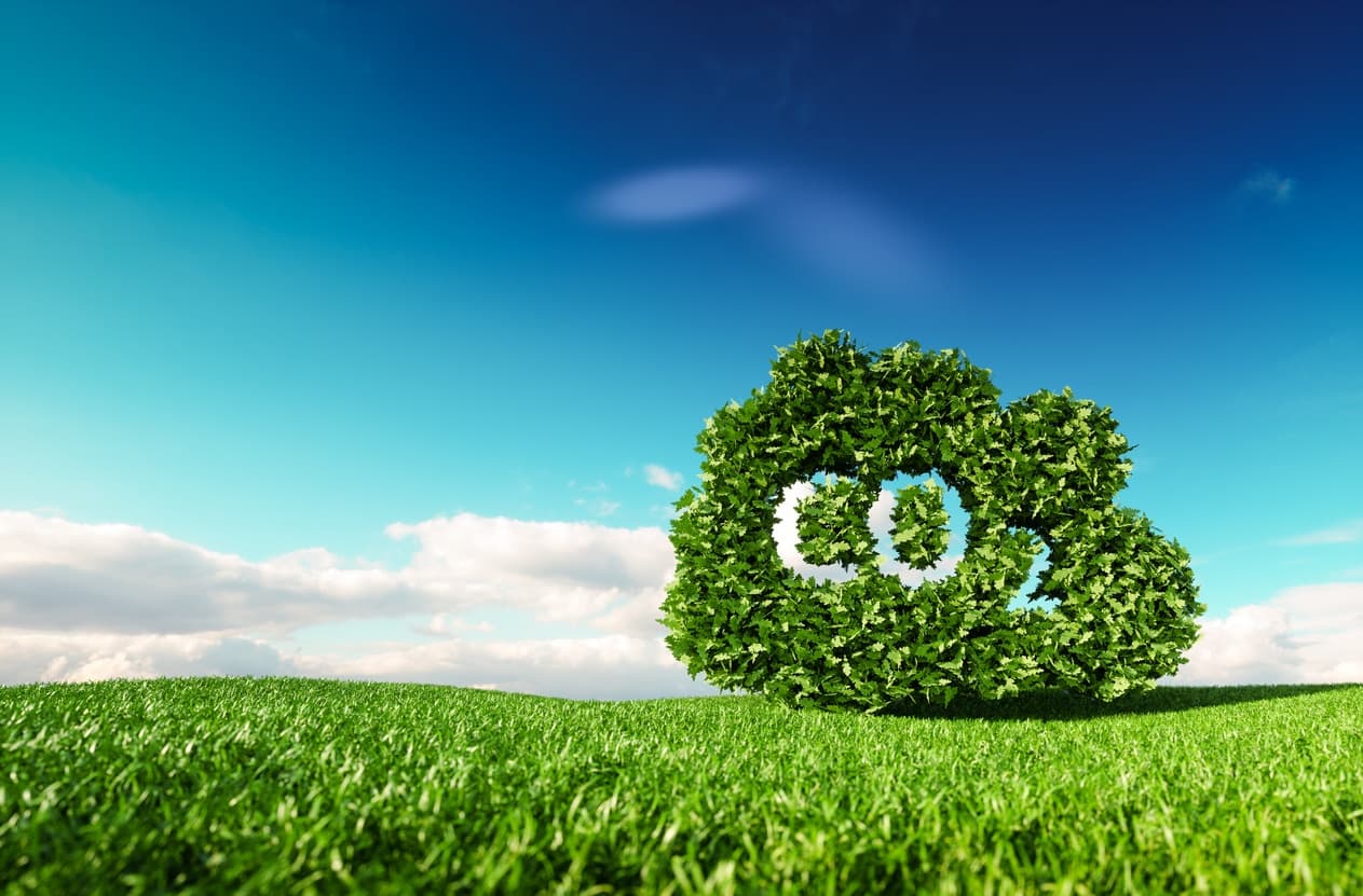 Carbono neutralidad empresarial: cómo funciona realmente el sistema costarricense